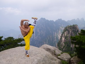 Shaolin Kick